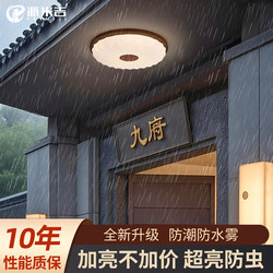 Ceiling Lamp at the Entrance of the Villa, Self-Built House Eaves, Outdoor Balcony, Outdoor Entrance Hall, Moisture-Proof and Insect-Proof Lamps