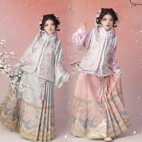 Guangsu [Sui Sui] Hanfu Women's Ming Dynasty Bijia Pipa Sleeve Horse Face Skirt Suit Embroidered New Year's Greetings Winter Plush