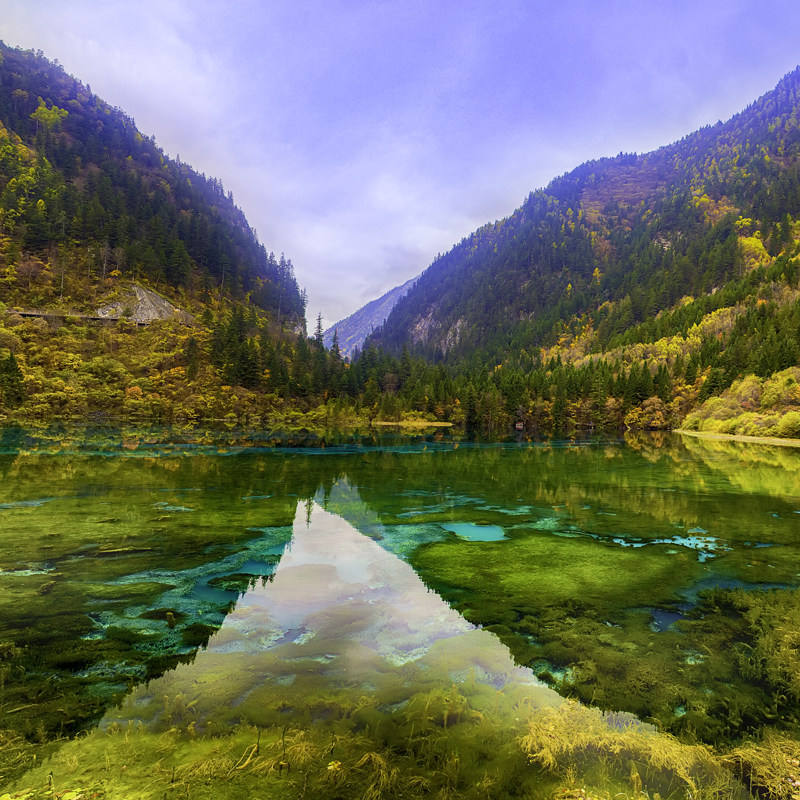 峨眉山+乐山大佛+九寨沟7天6晚跟团游四川成都都江堰熊猫乐园黄龙