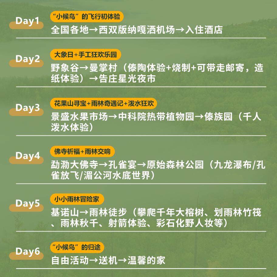 【雨林童趣9人小团】西双版纳旅游6天5晚野象谷原始森林 往返机票