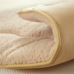 Roland Home Textiles Thickened Warm Mattress Pad Soft Lamb Fleece Pad for Single Dormitory Bed Double Bed Mattress Pad Quilt