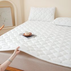 Roland Home Textiles Autumn and Winter Polar Fleece Thickened Anti-Static Mattress Warm Home Use Single and Double Bed Non-Slip Mattress Pad