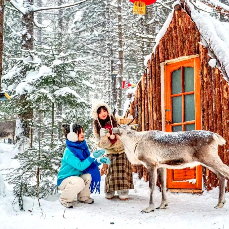吉林长春出发长白山延吉镜泊湖雪乡亚布力哈尔滨旅游6天5晚私家团