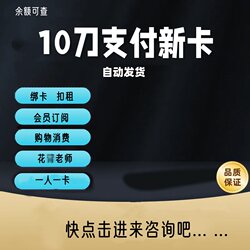 American Virtual Payment Card Hong Kong Japan Europe $20 Amazon Google Credit Card Subscription Consumption Card