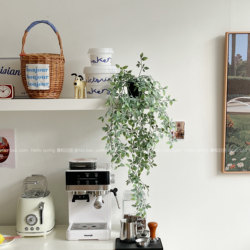 Simulated Hanging Plant Potted Plant, Green Plant Vines for Decorating the Top of Refrigerator, Air Conditioner Cabinet, Study Room, Shelf, Soft Decoration
