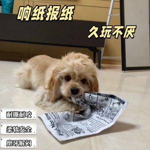 
Loud paper newspaper, simulated dog tearing paper toy, paper towel that cannot be chewed, cat teeth grinding and chewing resistance, self-pleasure and boredom relief artifact