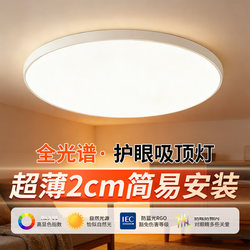 Ultra-Thin Led Ceiling Light Core Replacement Lighting Source Circular Lamp for Bedroom Balcony Room Simple Modern Style