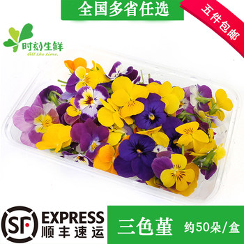Fresh flowers and plants pansy fragrant wood golden willow buds