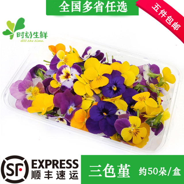 Fresh pansy fragrant wood golden willow buds, Qianye orchid, mint head, Mixed flower hotel with flowers and plants