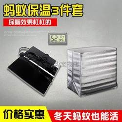 Ant incubator affordable ant heating pad