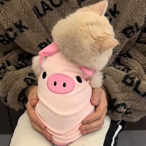 Cat clothes anti -fur spring and autumn Korean version of cute ins Gold, British short cloth puppet cat dog summer vest
