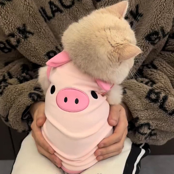 Cat clothes anti -fur spring and autumn Korean version of cute ins Gold, British short cloth puppet cat dog summer vest
