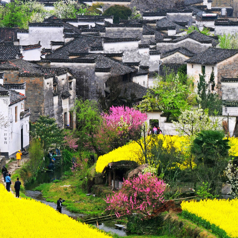 婺源小众路线2天1晚篁岭庆源三眼桥上坦村察关虹关漳村2-6人小团