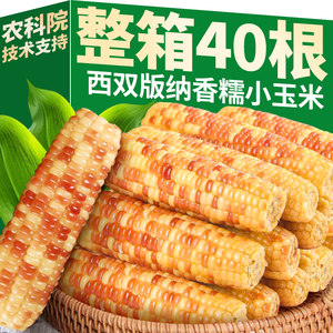 10*0.5kg Yunnan Xishuang Version Na Xiang Nu Xiaoyin Breakfast Breakfast Vacuum Packing opens the bag and saves the thumb corn stick