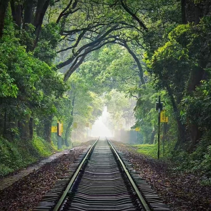 【南雄银杏之乡】畅泡露天温泉+南华寺祈福+时光隧道 2天游