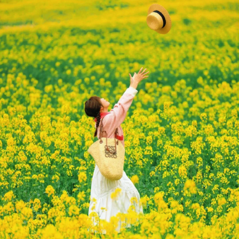 1-6人小团|贵州云南旅游纯玩7天6晚黄果树万峰林普者黑罗平油菜花