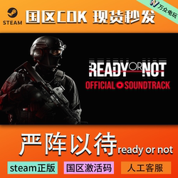 Steam China Region Official Cdk Ready or Not: Undercurrents Dark Waters