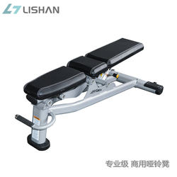 Dumbbell Bench Home Fitness Adjustable Barbell Bench Press Bench Upper Oblique Multi-Functional Commercial Flat Professional Gym Chair