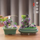 Lucky degaussed natural amethyst ornaments, original creative handicrafts, white crystal raw stones, purple home decorations