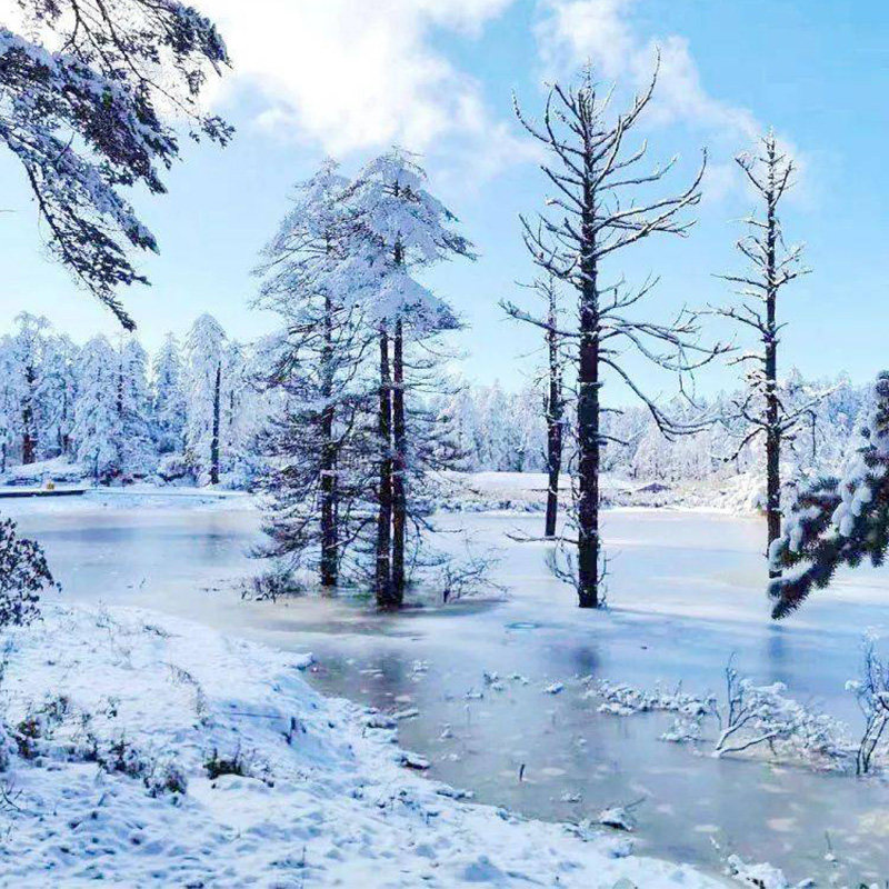 重庆出发 四川瓦屋山2天1晚日游滑雪纯玩柳江古镇亲子赏雪跟团游