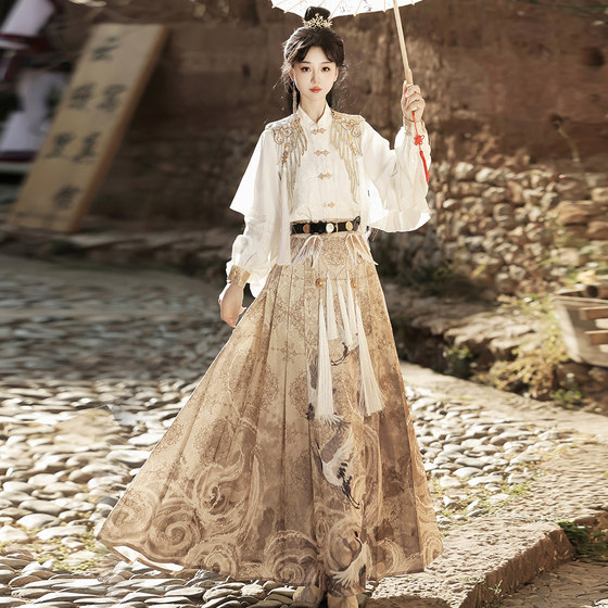 Designer's gift original heavenly envoy Hanfu female fairy chivalrous national style new Chinese style autumn and winter suit with Han elements