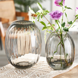 Simple Internet celebrity glass vase ornaments light luxury primary color A glass transparent water-raised flowers living room table decoration inserts