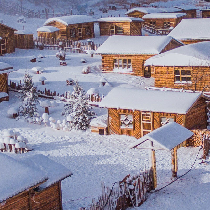 阿尔山5日私家团大兴安岭林海雪原国门雪村不冻河鹿园滑雪泡温泉