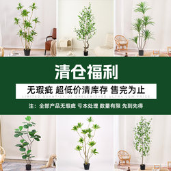 Clearance Sale of Artificial Green Plants for Indoor Living Room, High-End Light Luxury Decoration, Simulated Plants, Large Potted Floor-Standing Ornaments, Fake Trees