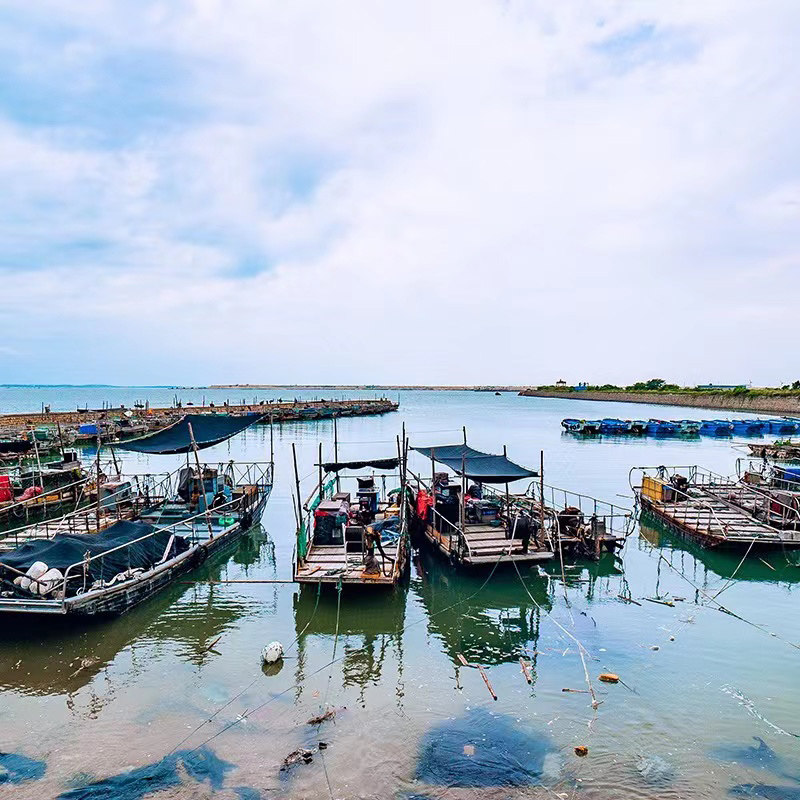 厦门出发小嶝岛赶海一日游 厦门五缘湾帆船出海体验赶海抓蟹品尝