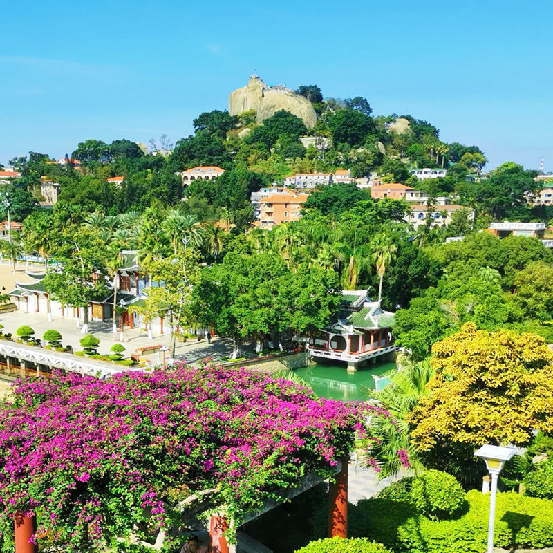 厦门鼓浪屿2-16人团二日跟团游 厦门大学入校参观日光岩植物园