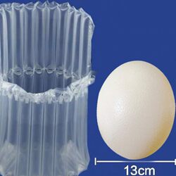 Special Air Column Bags for Ostrich Eggs, 50 Pieces with Free Shipping