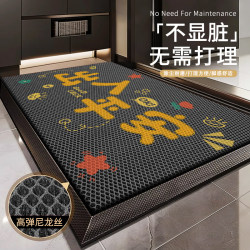 Entrance Door Mat, Villa Entrance Mat, Household No-Wash Anti-Slip Foot Mat, High-End Entrance Door Outdoor Wear-Resistant Mat