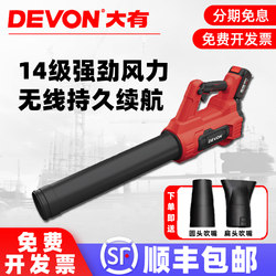 Dayou 20V Lithium Battery Hair Dryer Dust Blower Dust Remover for Home Use Small Garden Use 4707
