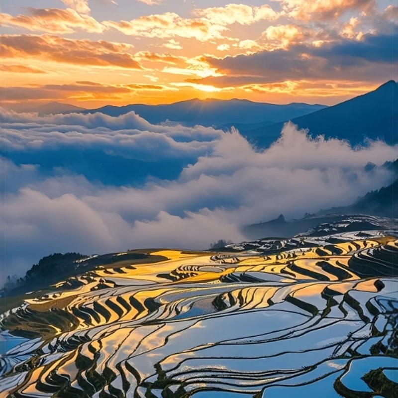 云南旅游普者黑碧色寨元阳梯田建水抚仙湖红土地5天4晚私家小包团