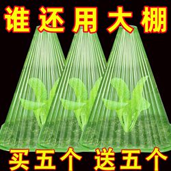 Vegetable Plant Cover, Melon Seedlings, Vegetable Seedlings, Young Seedlings, Nursery Seedlings, Greenhouse Seedling Protection Cover, Insulation, Insect-Proof, Bird-Proof, Frost-Proof Protective Cover