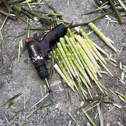 Automatic Bamboo Shoot Peeling Machine, Bamboo Shoot Peeler, Bamboo Shoot Shell Peeling Machine, Bamboo Shoot Cleaning Machine, Bamboo Shoot Peeling Machine