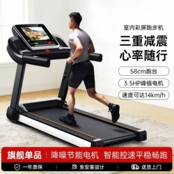 Treadmill for Home Use, Indoor Small Folding New Model Walking Machine, Electric Weight Loss Machine for Home Use, 2026 Gym-Specific
