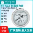 dong ho ap suat Thượng Hải Tianchuan YN-60Z trục chống sốc đồng hồ đo áp suất 1.6MPA chứa đầy dầu chống rung đồng hồ đo áp suất chân không đồng hồ đo áp suất âm hiệu chuẩn nhiệt ẩm kế Thiết bị & dụng cụ