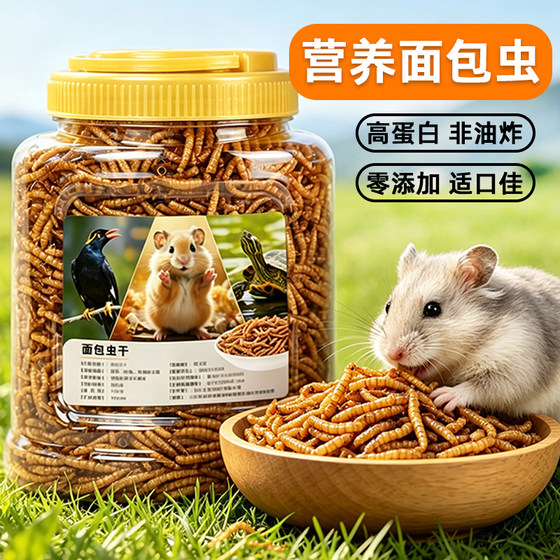 Hamster grain feed mealworm dried golden silk bear small hamster special nutrition staple food snack rat food supplies
