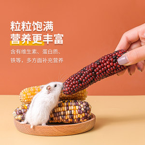 
Teething Stick Hamster Corn Hamster Teething Snacks Teething Stick Rabbit Teething Small Corn Food Supplies Hamster