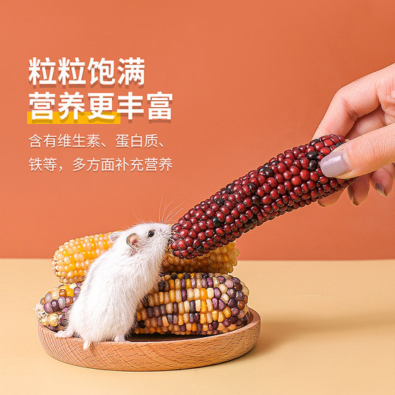 
Teething Stick Hamster Corn Hamster Teething Snacks Teething Stick Rabbit Teething Small Corn Food Supplies Hamster