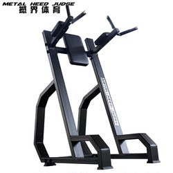 Commercial Parallel Bar Knee Lift and Abdominal Training Device, Parallel Bar Arm Flexion and Extension, Multi-Functional Vertical Abdominal Curling Gym Personal Training Equipment