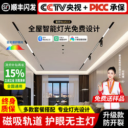 Magnetic Track Light Embedded Surface-Mounted for Home Living Room Bedroom Corridor Without Main Light Commercial Lighting Linear Light Floodlight