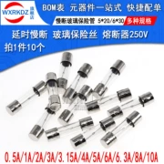 Ống cầu chì thủy tinh có thời gian trễ thổi chậm 5x20mm với cầu chì 6 * 30 Cầu chì T1a 2 5A 8 10A250V vỏ cầu chì cau chi ong