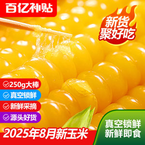 Finding corn fresh glutinous corn sticky yellow, waxy, sweet and glutinous corn, real vacuum, 非 非 食 食 食 Northeast glutinous corn