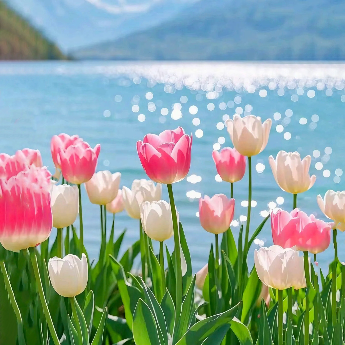 0购物0推销0擦边 云南真纯玩泸沽湖昆明大理丽江8天7晚12人小团