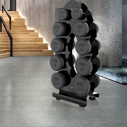 Maibaohe Fixed Dumbbell Rack Men's Fitness Home Full Set Combination Small Professional Pure Steel Dumbbell 75kg