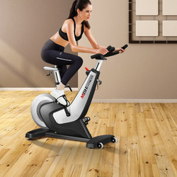 Maibohu Home Smart Magnetic Control Spinning Bike Dx02 Indoor Fitness Equipment Pedal Bicycle