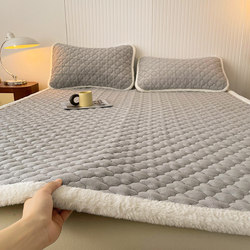 Machine Washable Autumn and Winter Warm Milk Velvet Mattress Pad Soft Mattress Cover Quilt Warm Thin Style for Home Use in Winter