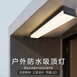 Outdoor Long Strip Courtyard Ceiling Light Waterproof and Mosquito-Proof Led Terrace Sunroom Terrace Enlarged Rectangular Wall Light